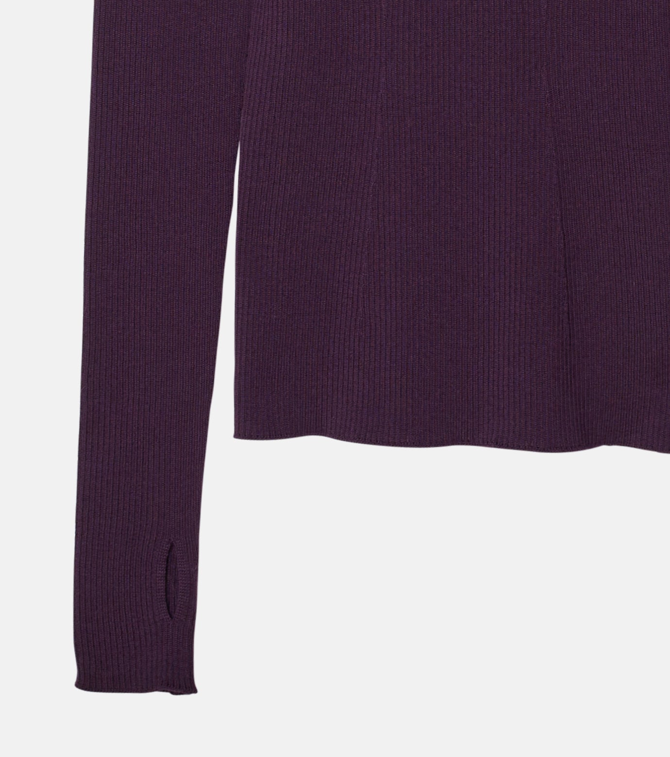 Wholegarment Turtle Knit