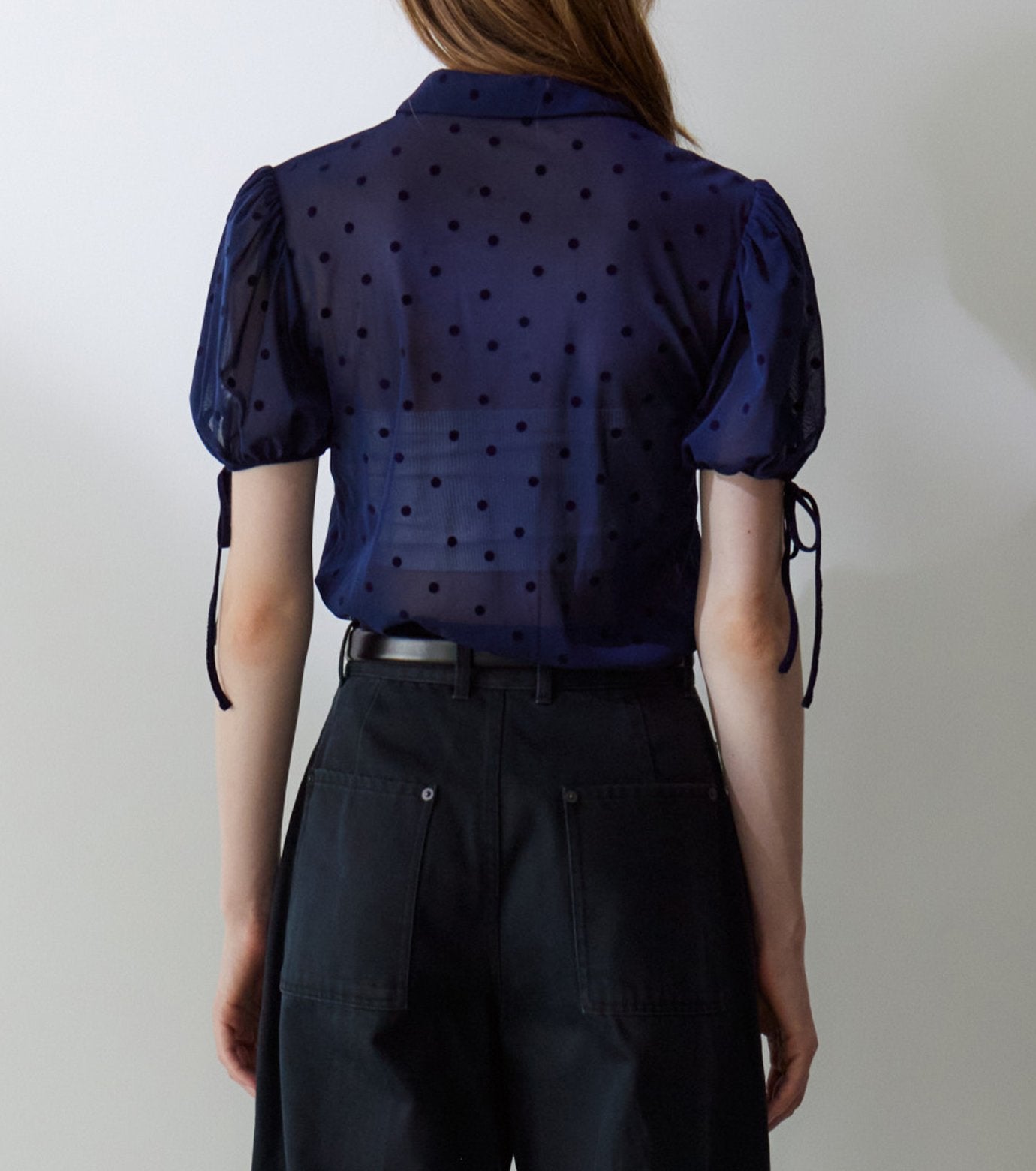 Dot Tulle Shortsleeve Blouse