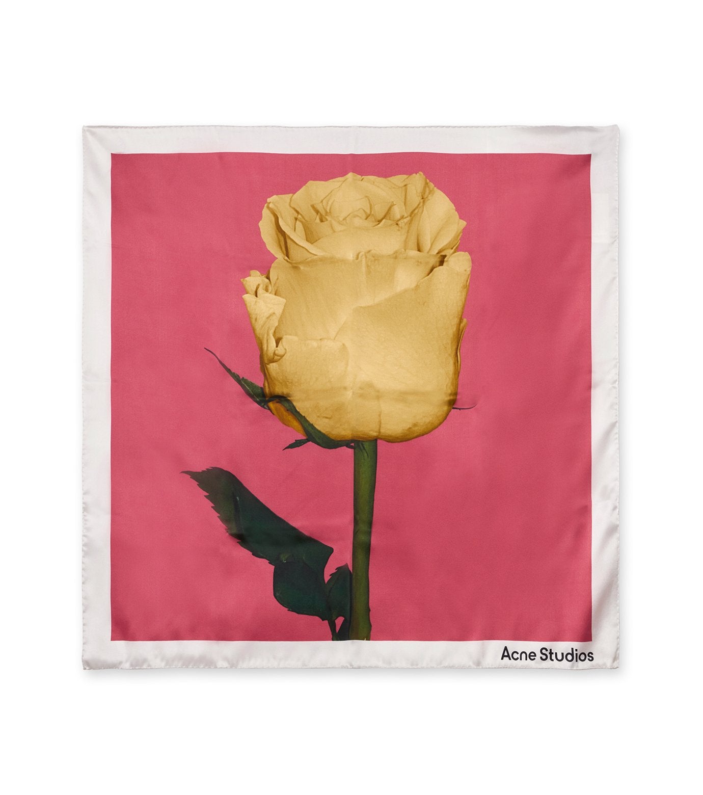 Vasco Rose Scarf