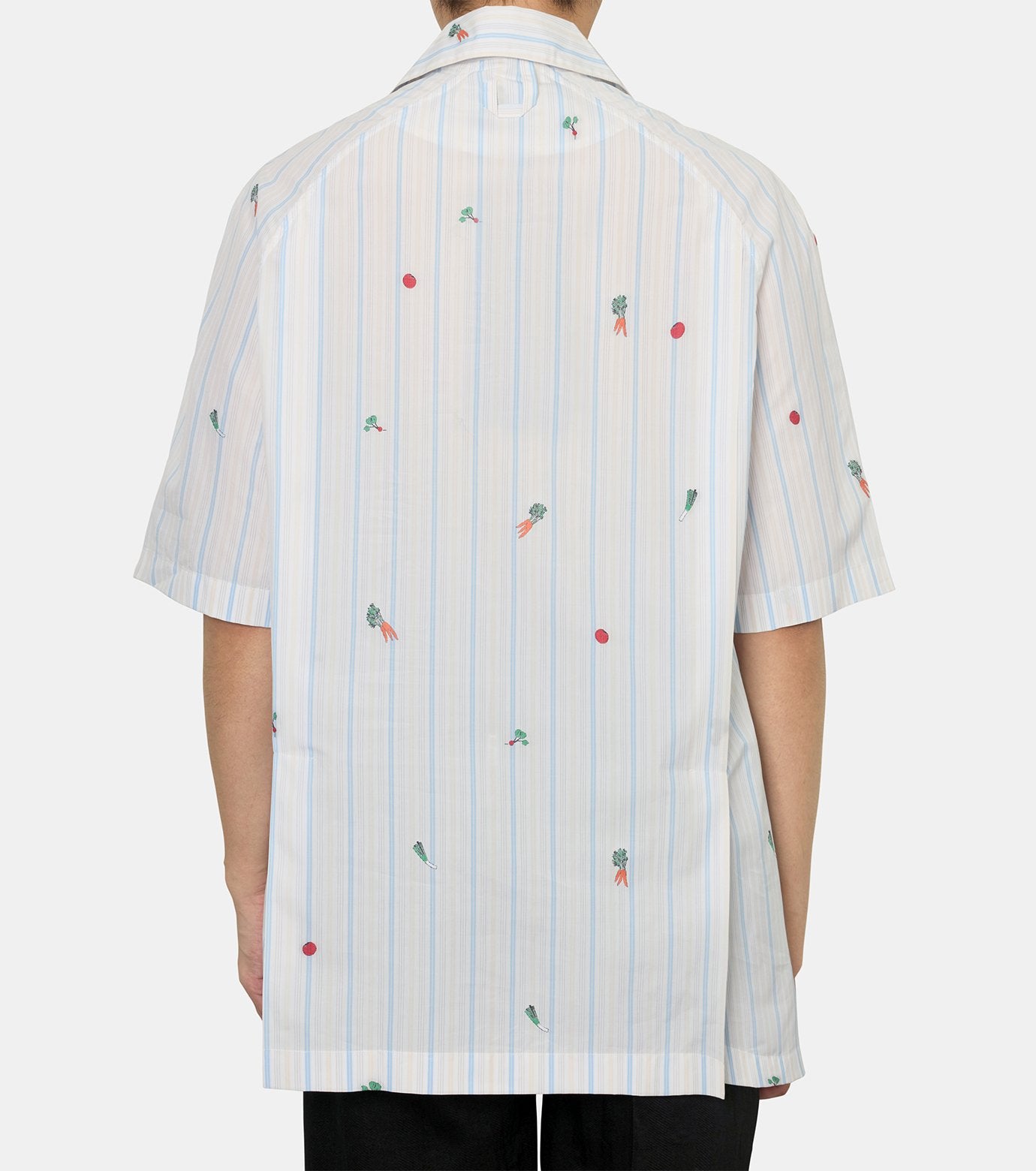 LA CHEMISE ROMARIN MC