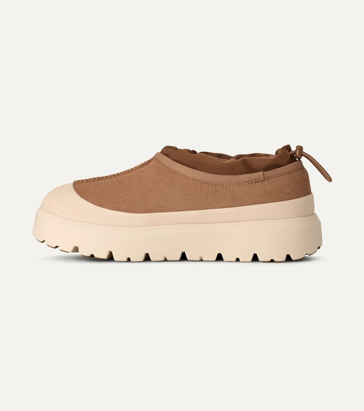 M TASMAN WEATHER HYBRID