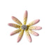 Daisy Hair Pin