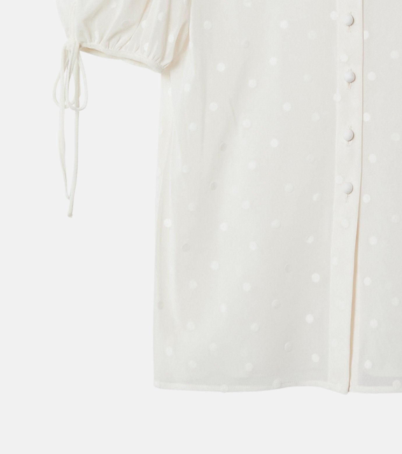 Dot Tulle Shortsleeve Blouse