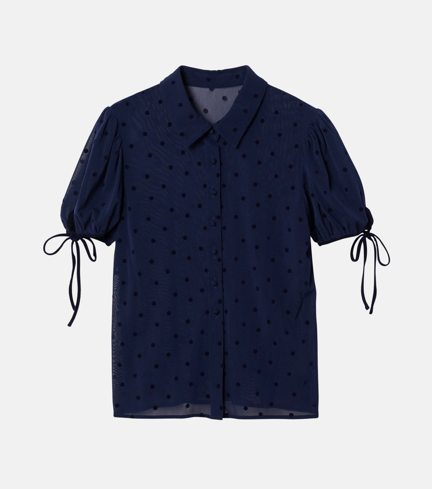 Dot Tulle Shortsleeve Blouse