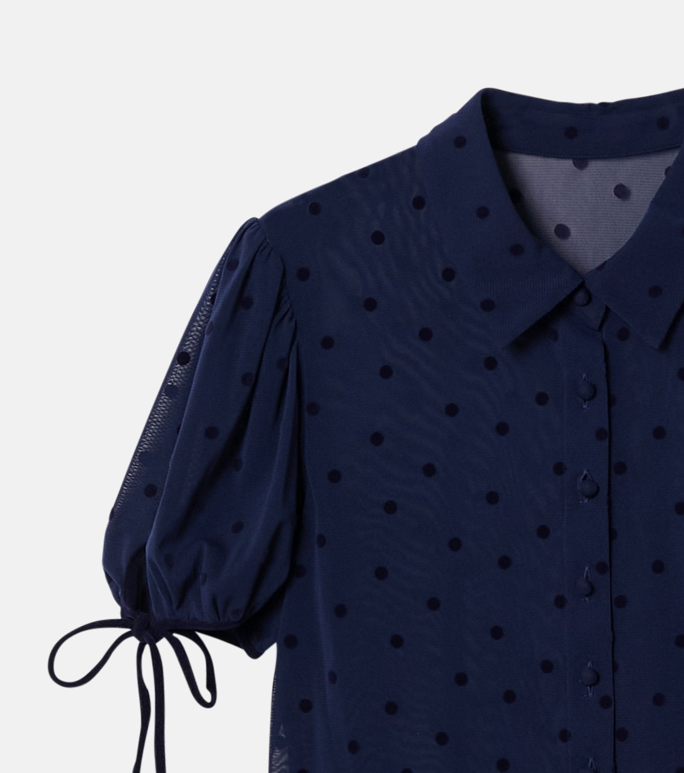 Dot Tulle Shortsleeve Blouse