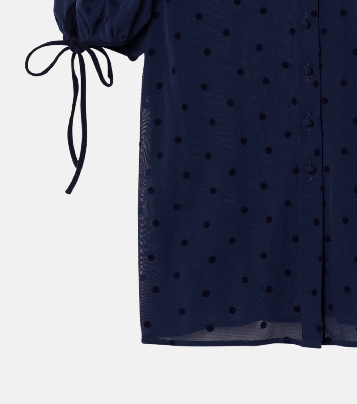 Dot Tulle Shortsleeve Blouse