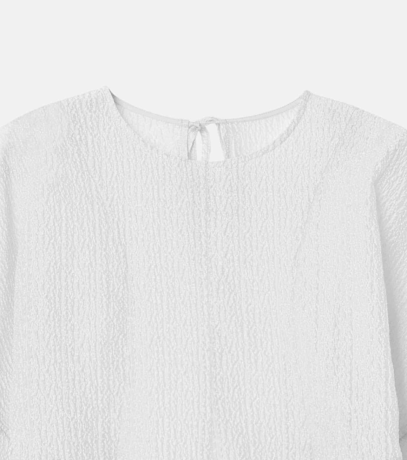 Sheer Jacquard Blouse