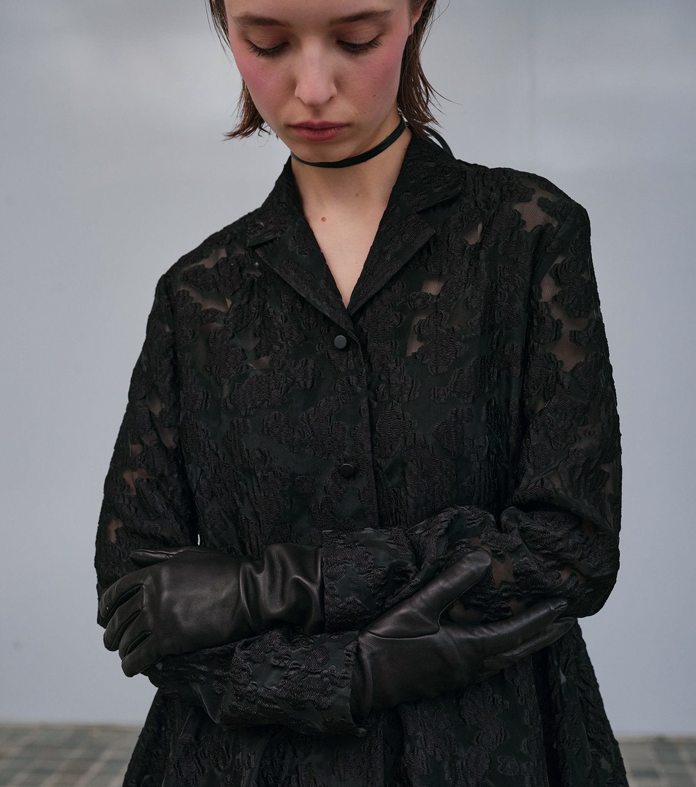 Classic Sheer Jacquard Dress