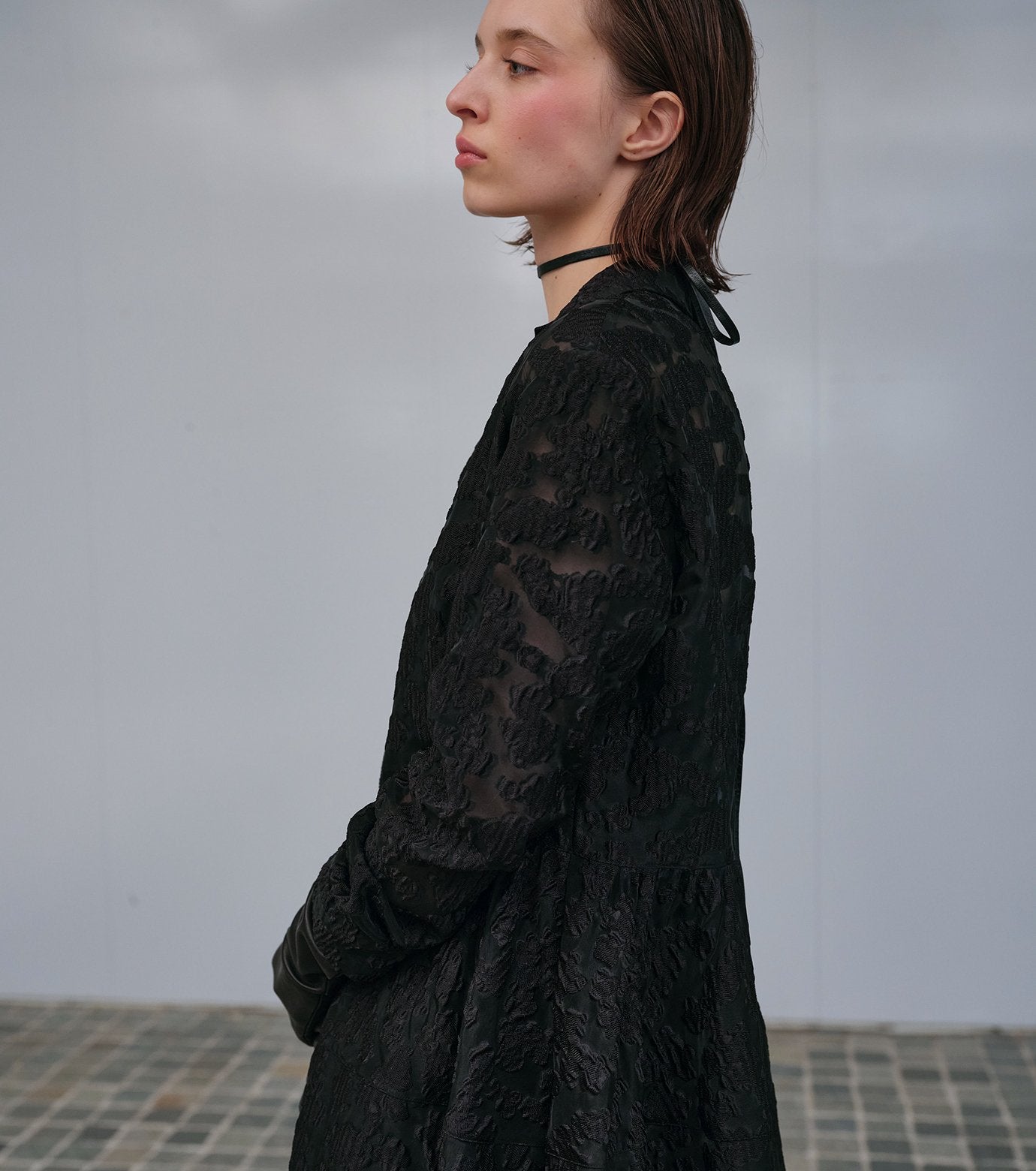 Classic Sheer Jacquard Dress