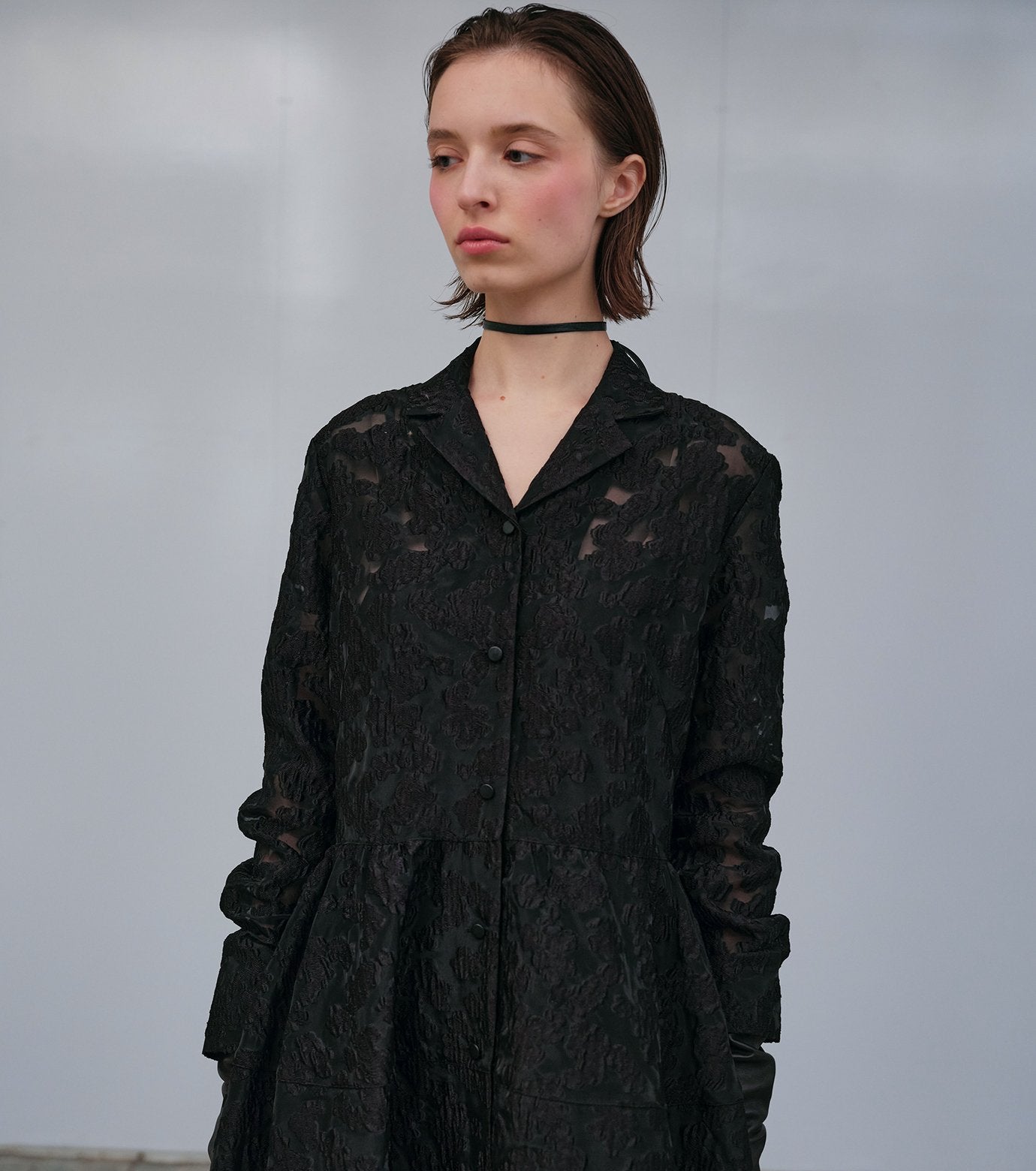 Classic Sheer Jacquard Dress