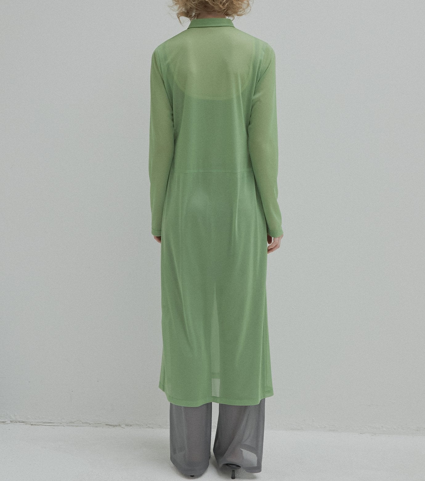 Sheer Shirt Dress w/Flocked Flower