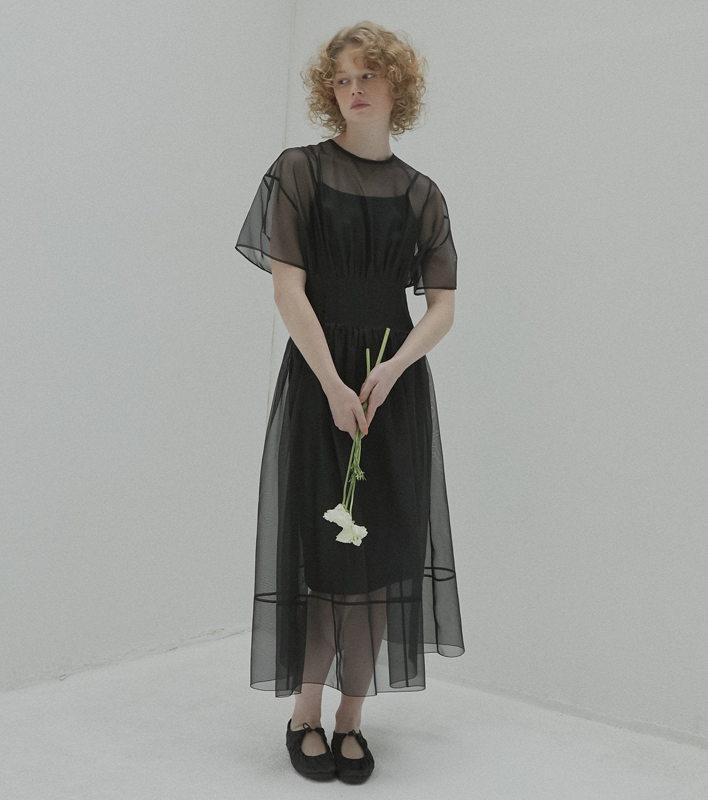 Sheer Gathered Waist Dress