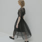 Sheer Gathered Waist Dress