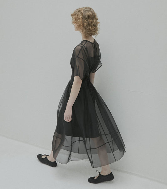 Sheer Gathered Waist Dress