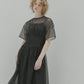 Sheer Gathered Waist Dress