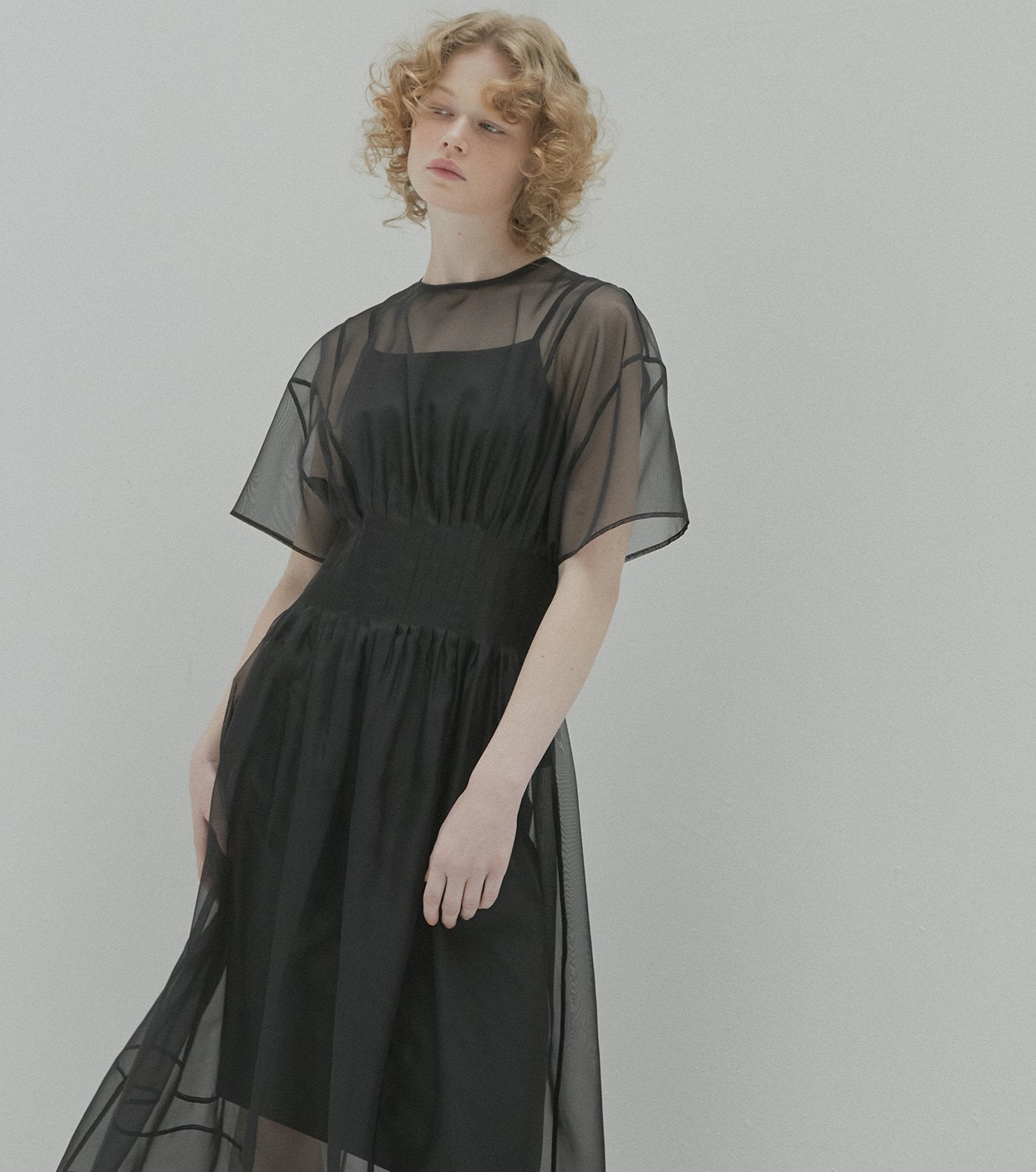 Sheer Gathered Waist Dress