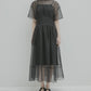 Sheer Gathered Waist Dress