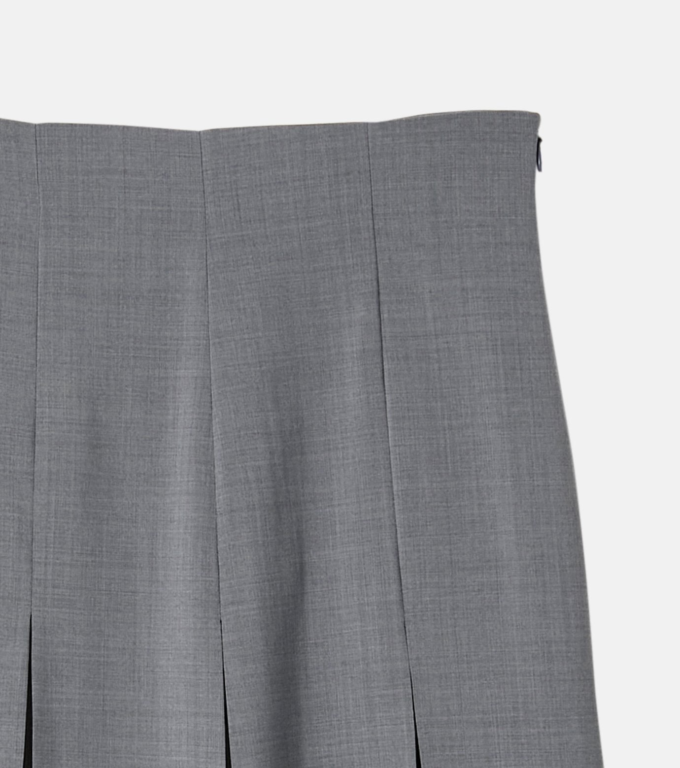 Pleated Skirt w/Sheer Detail
