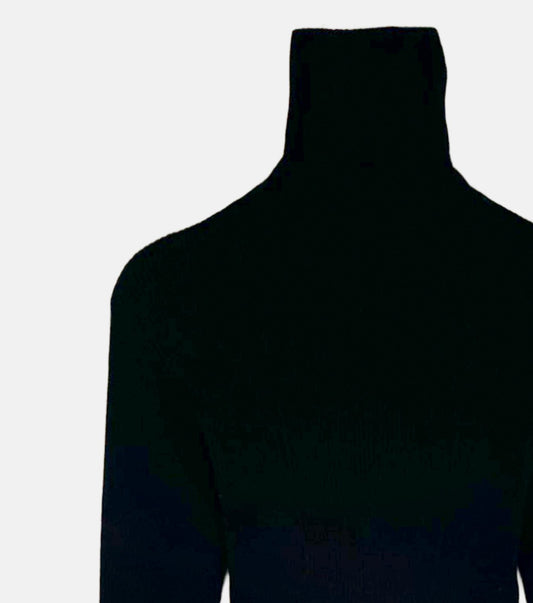 WholeGarment Turtleneck