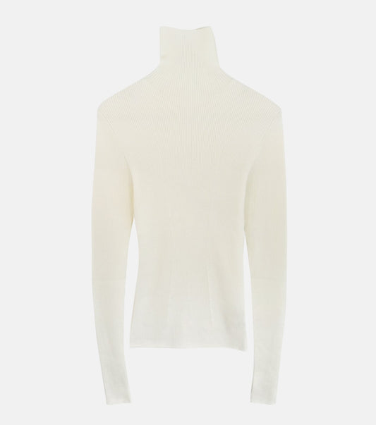 WholeGarment Turtleneck
