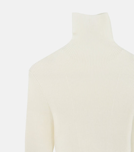WholeGarment Turtleneck