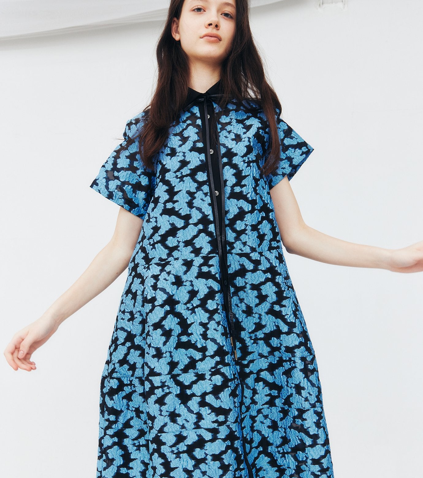 Sheer Jacquard Dress