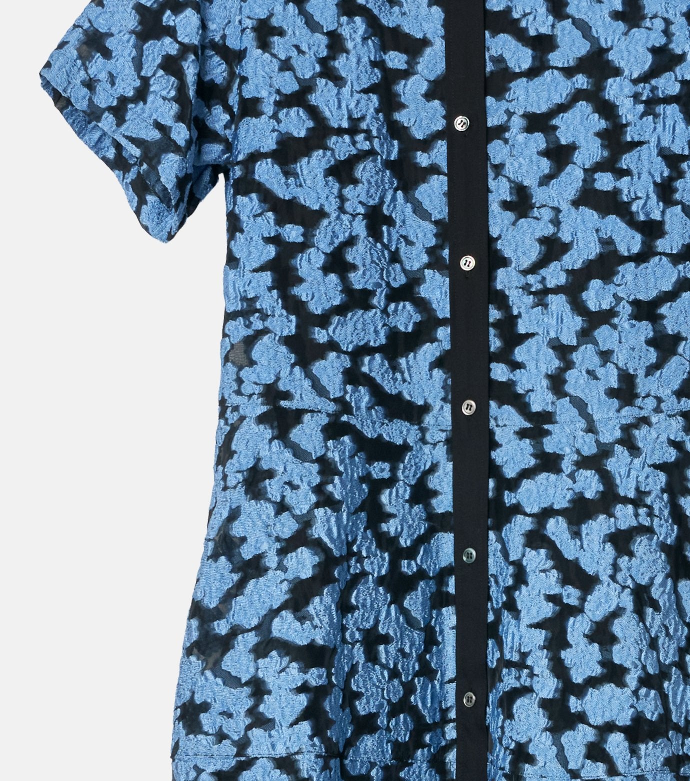 Sheer Jacquard Dress