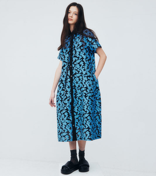 Sheer Jacquard Dress