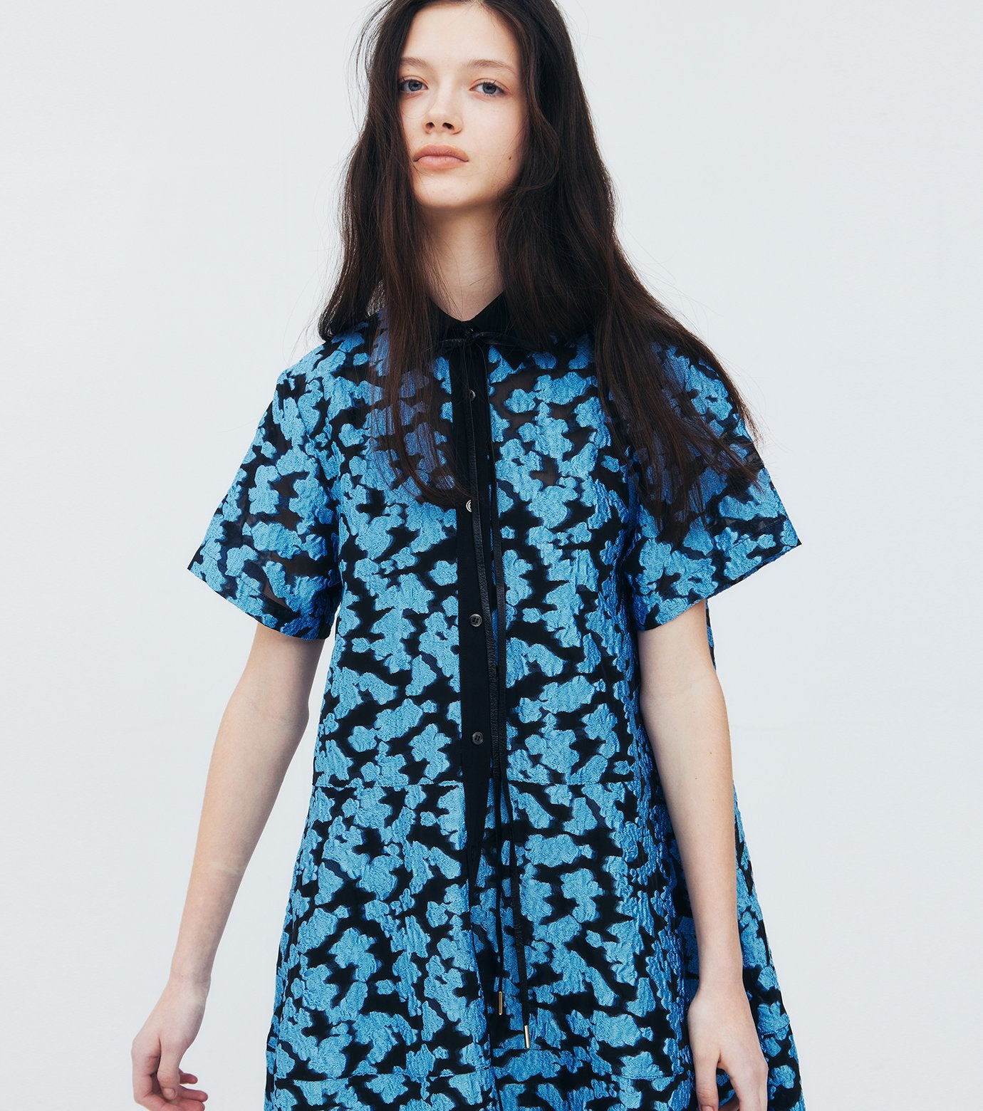 Sheer Jacquard Dress