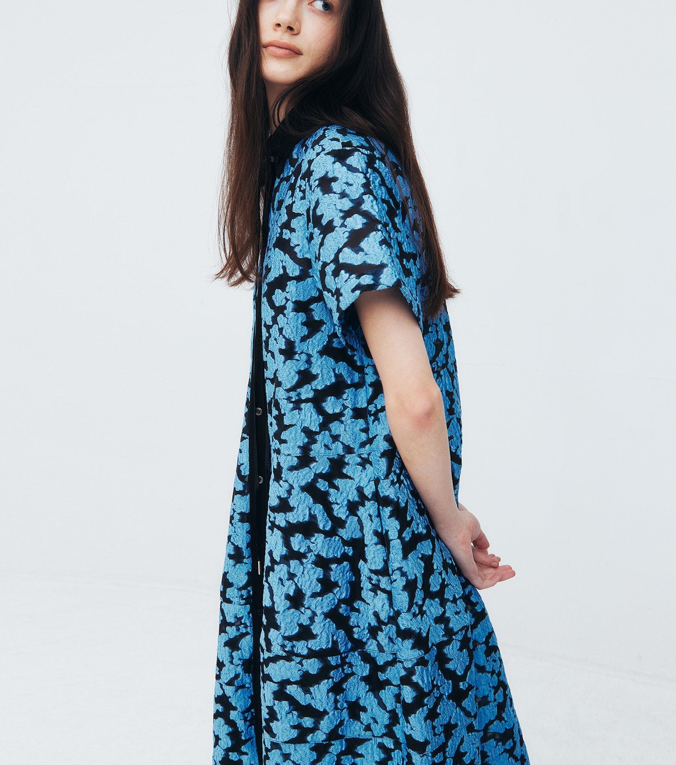 Sheer Jacquard Dress