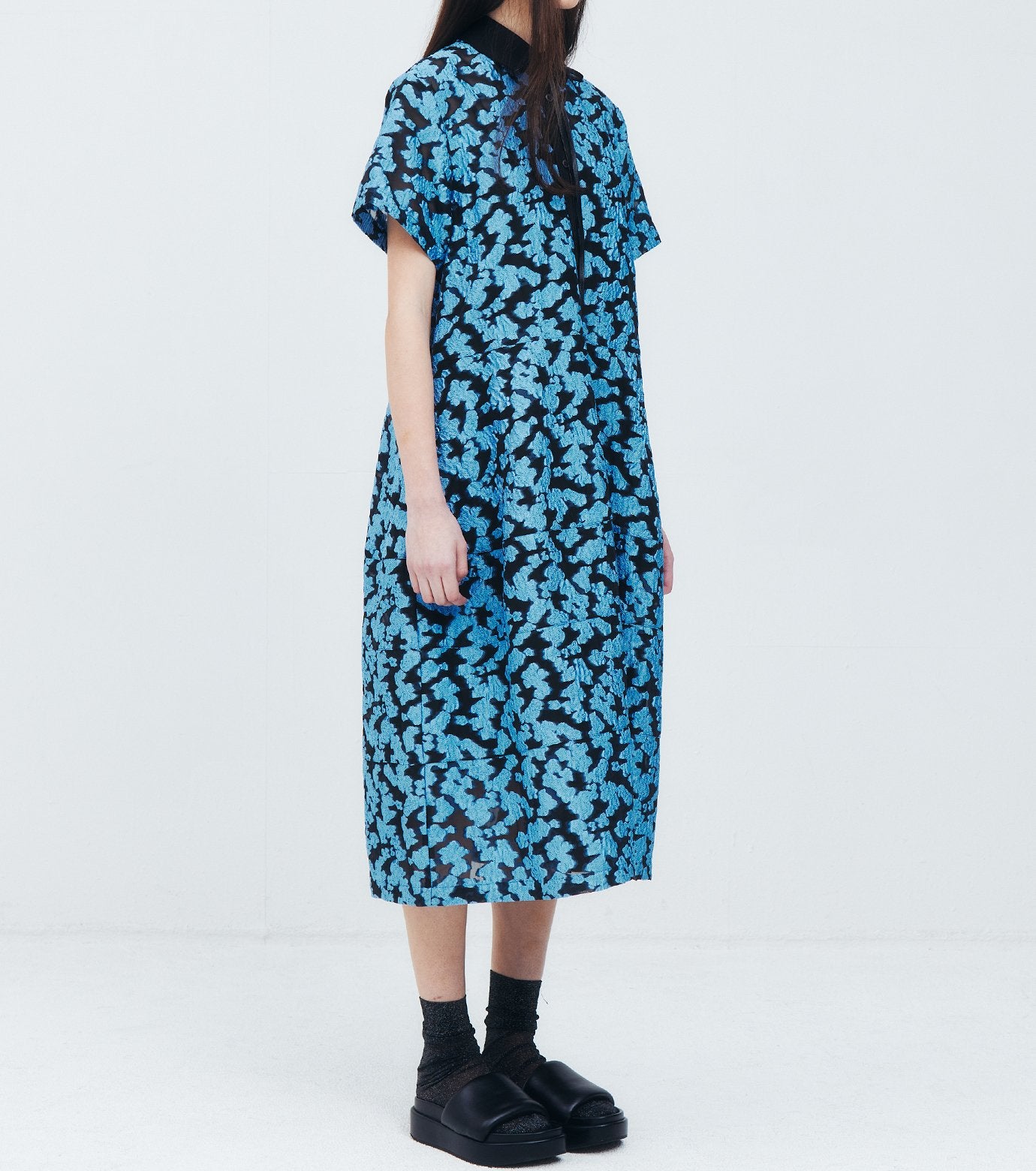 Sheer Jacquard Dress