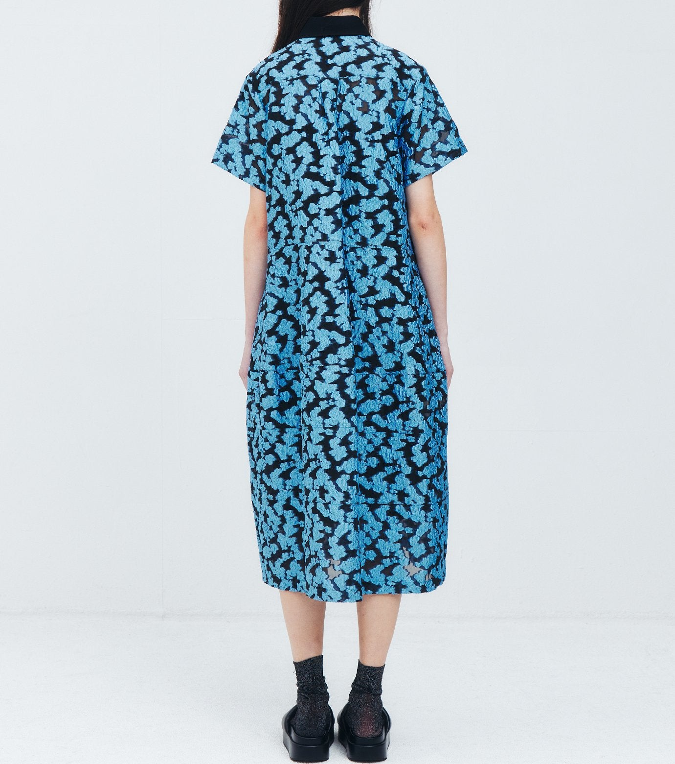 Sheer Jacquard Dress