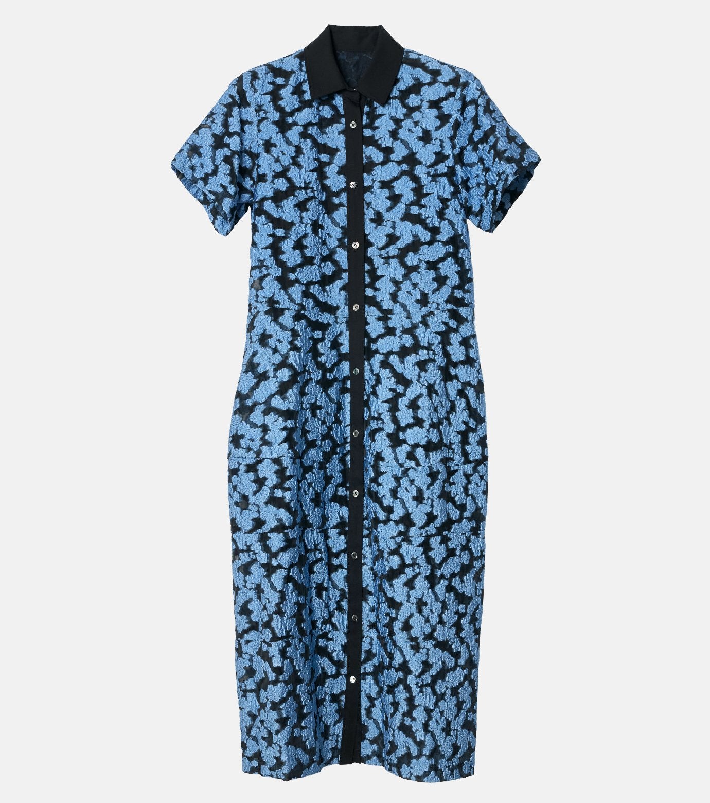 Sheer Jacquard Dress