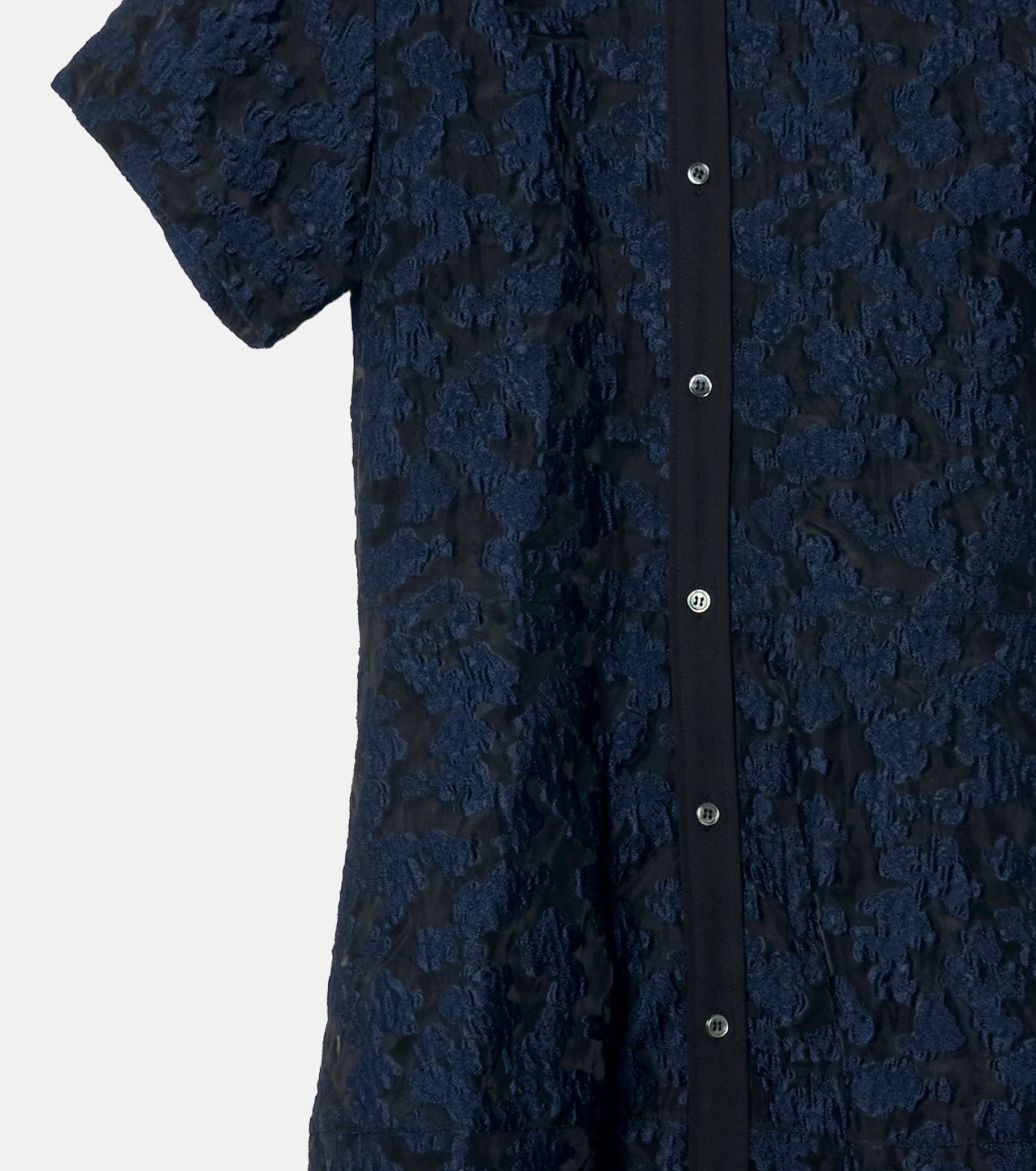 Sheer Jacquard Dress
