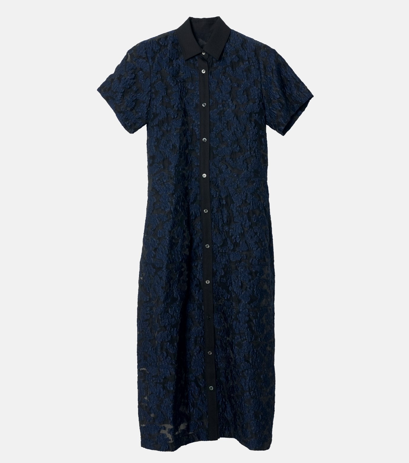 Sheer Jacquard Dress