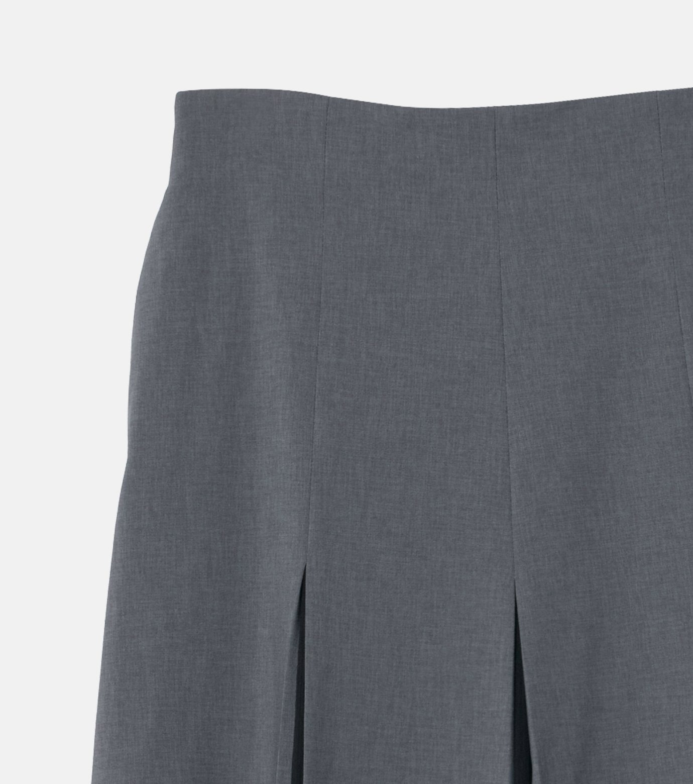 Pleated Skirt w/Sheer Detail