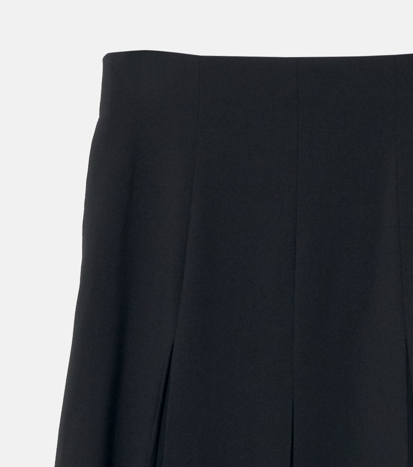 Pleated Skirt w/Sheer Detail