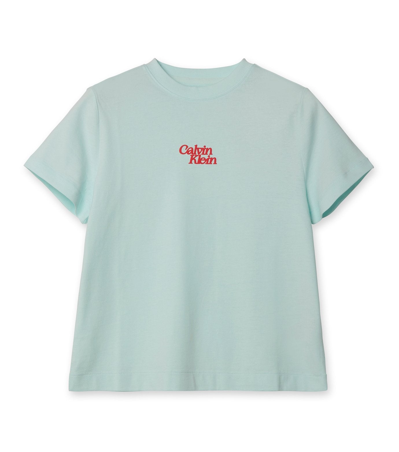SS FLOCKED LOGO CREWNECK TEE