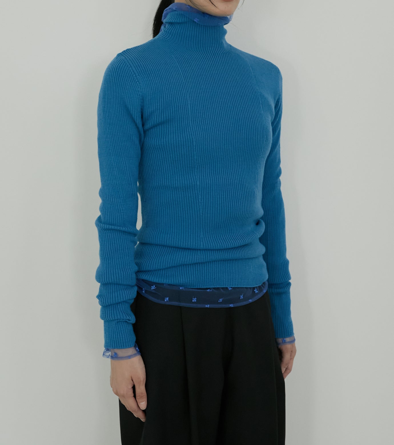 Wholegarment Turtle Knit