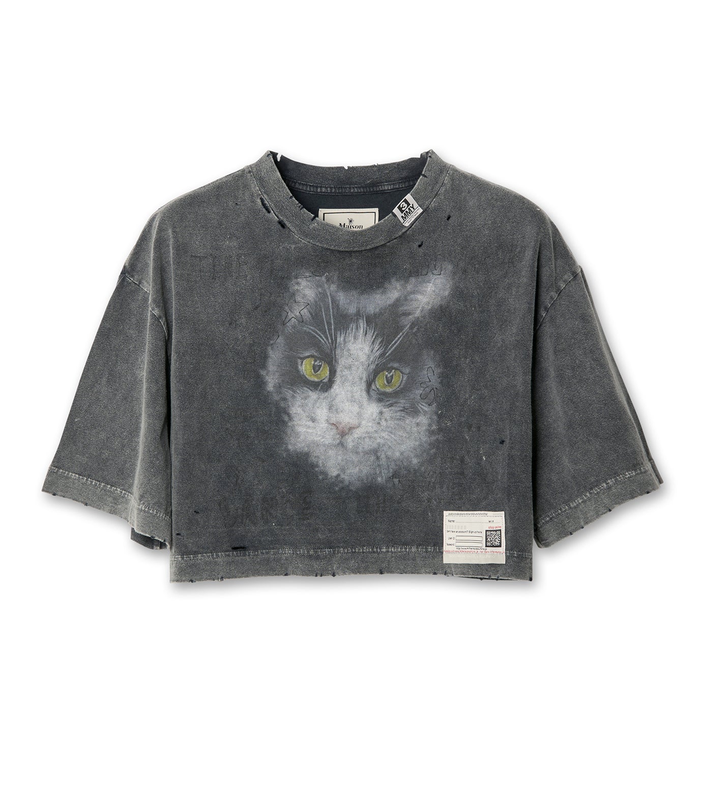 Bleacked Cropped Cat Tee