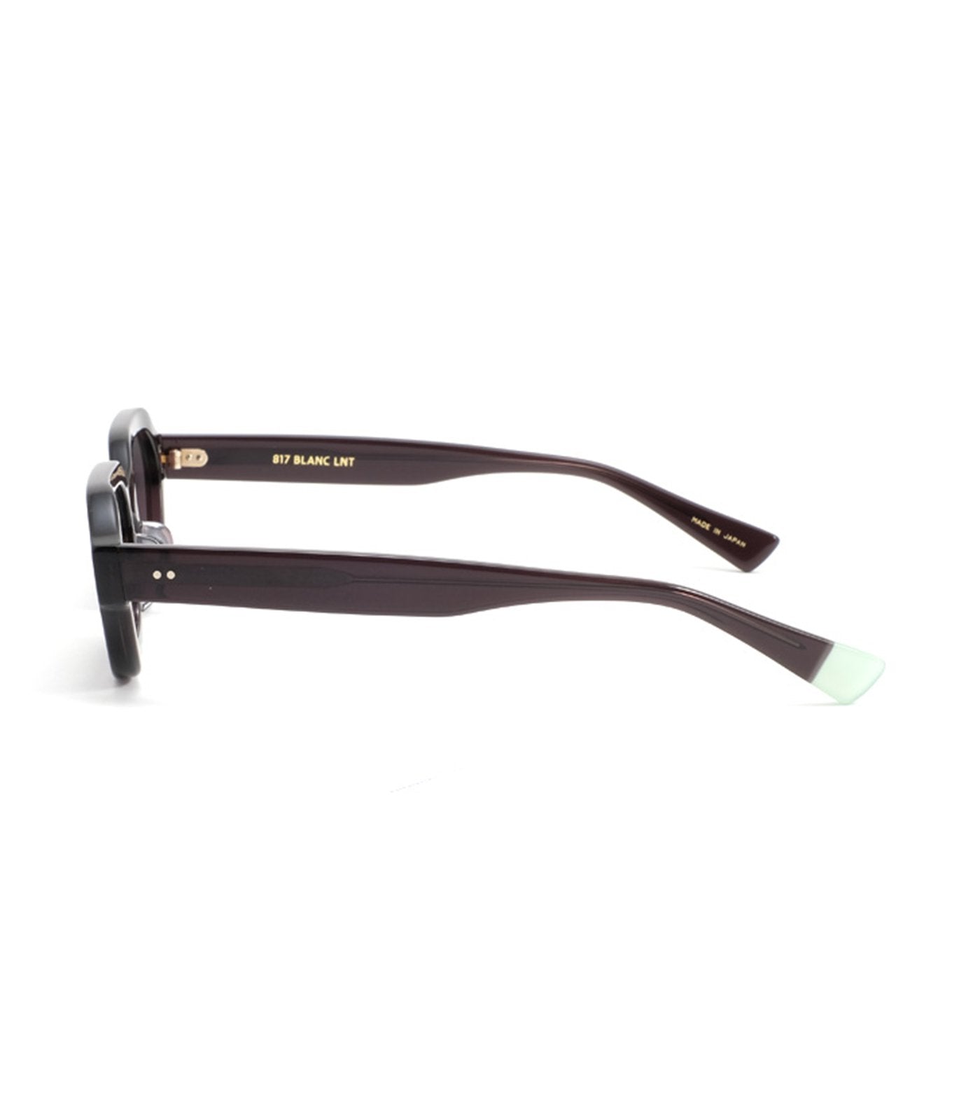 BE007 Sunglasses