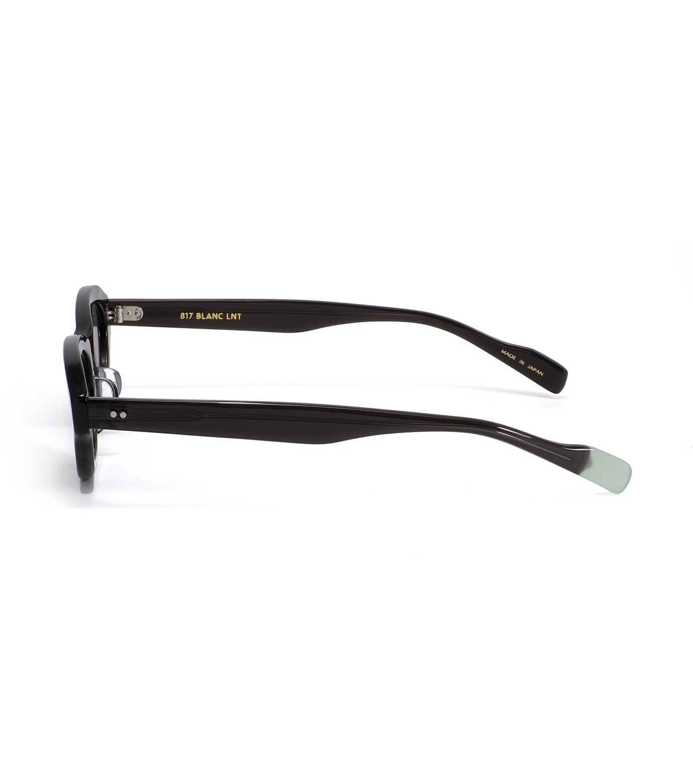 BE010 Sunglasses