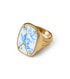 Ring Bird