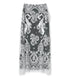Embroidered Lace Skirt
