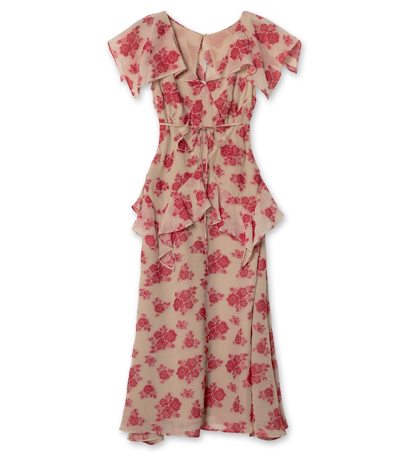 Sheer Floral Jacquard Dress