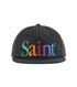 CAP/SAINT