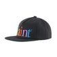 CAP/SAINT
