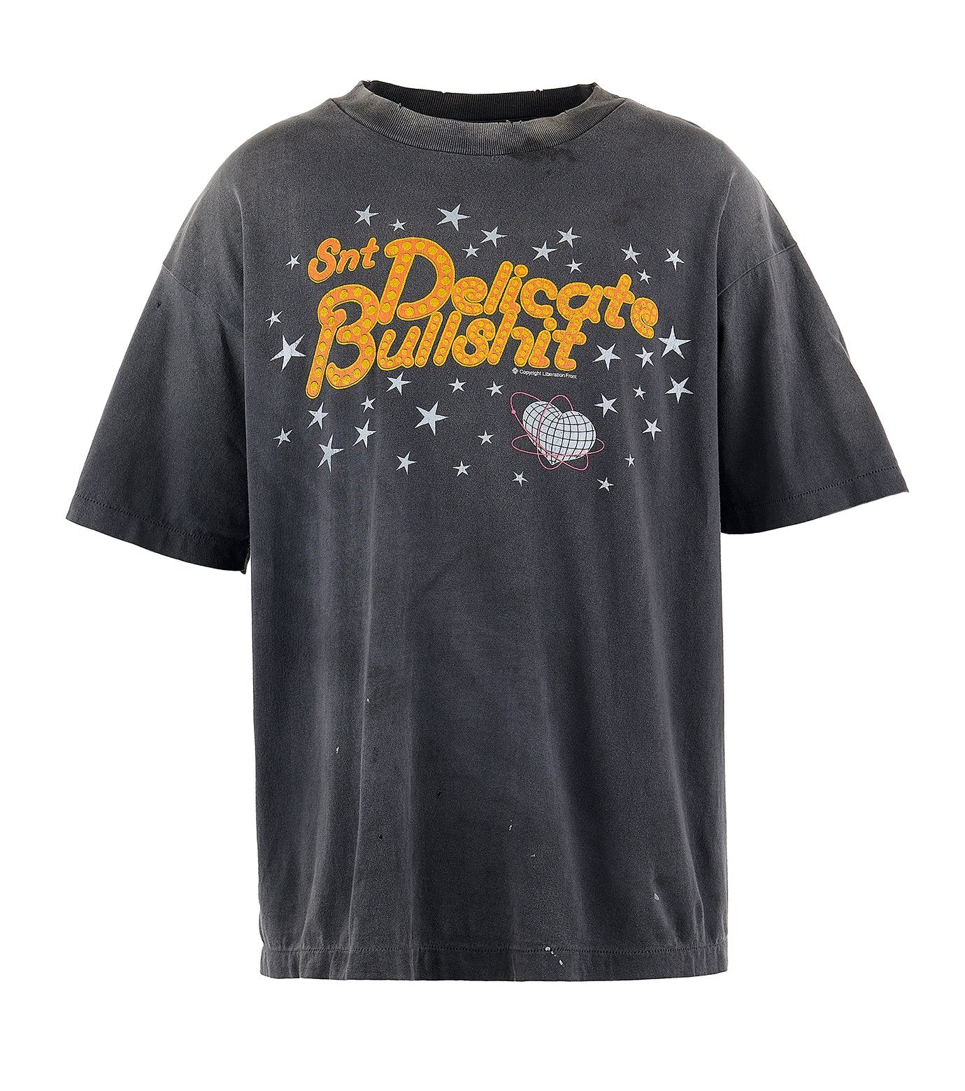 SS Tee DELICATE BULLSHIT