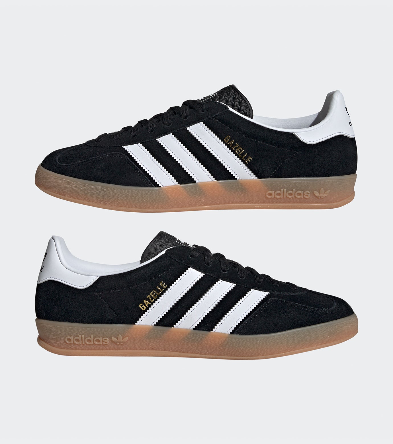 GAZELLE INDOOR