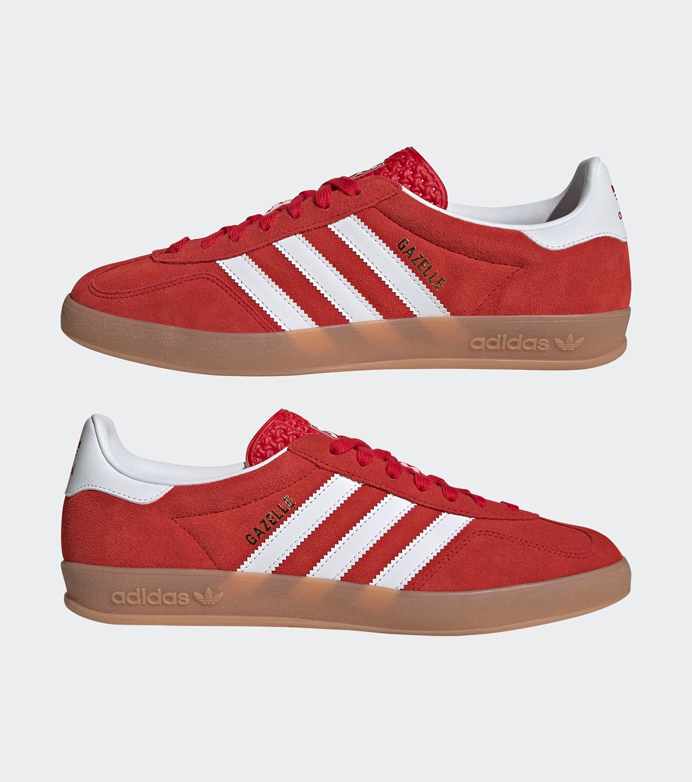 GAZELLE INDOOR